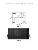 DEVICES, SYSTEMS, AND METHODS FOR ELECTROPHORESIS diagram and image