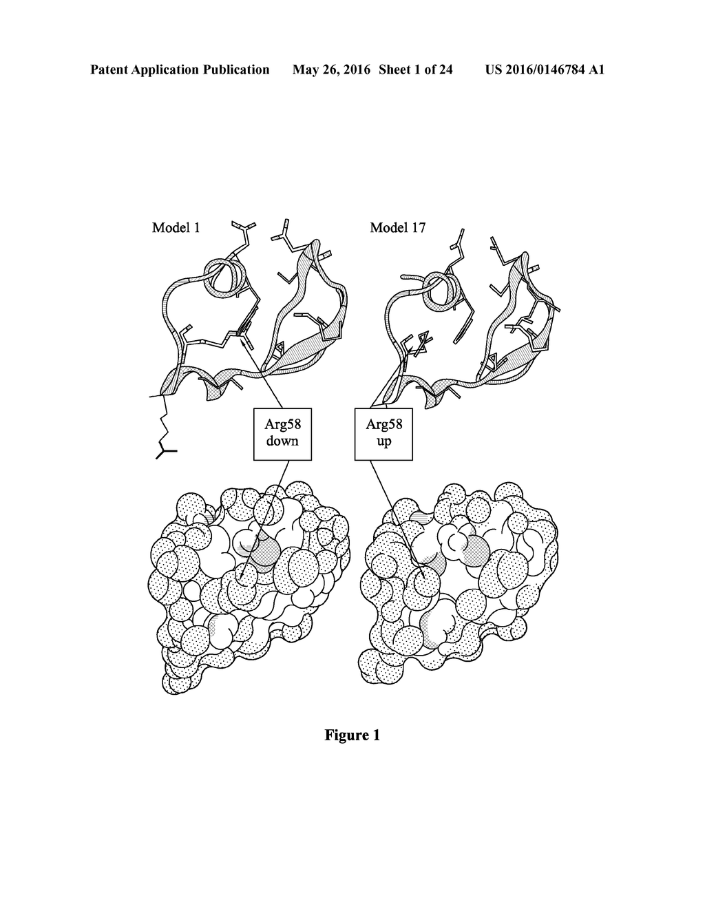 COMPOSITIONS AND METHODS OF SCREENING FOR COMPOUNDS THAT MODULATE ACTIVITY     AT A TWEAK BINDING SITE ON A CRD OF FN14 - diagram, schematic, and image 02