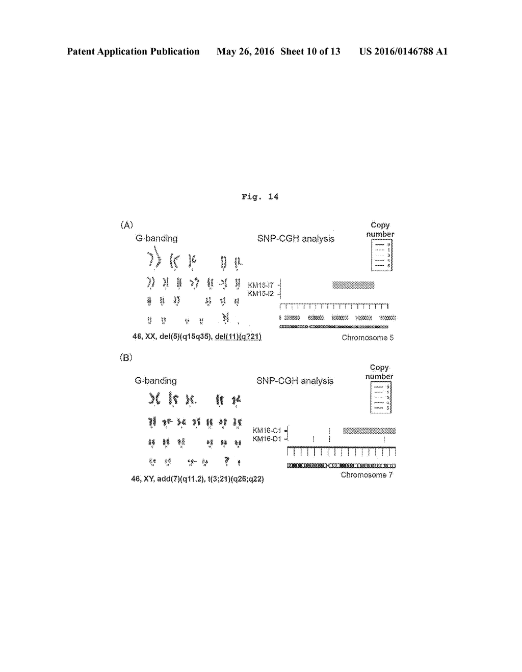 METHOD FOR SCREENING DRUGS FOR TREATING/PREVENTING MYELODYSPLASTIC     SYNDROME, ETC. - diagram, schematic, and image 11