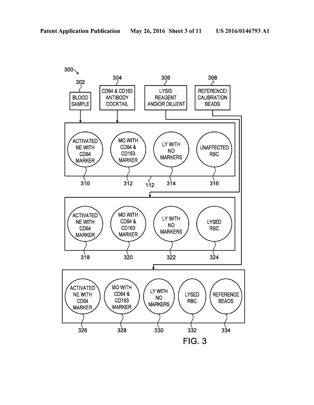 KITS, COMPOSITIONS AND METHODS FOR DETECTING A BIOLOGICAL CONDITION - diagram, schematic, and image 04