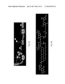 MEANS AND METHODS FOR BIOLUMINESCENCE RESONANCE ENERGY TRANSFER (BRET)     ANALYSIS IN A BIOLOGICAL SAMPLE diagram and image