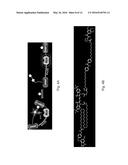 MEANS AND METHODS FOR BIOLUMINESCENCE RESONANCE ENERGY TRANSFER (BRET)     ANALYSIS IN A BIOLOGICAL SAMPLE diagram and image