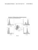 RECEPTORS FOR B7-H4 diagram and image