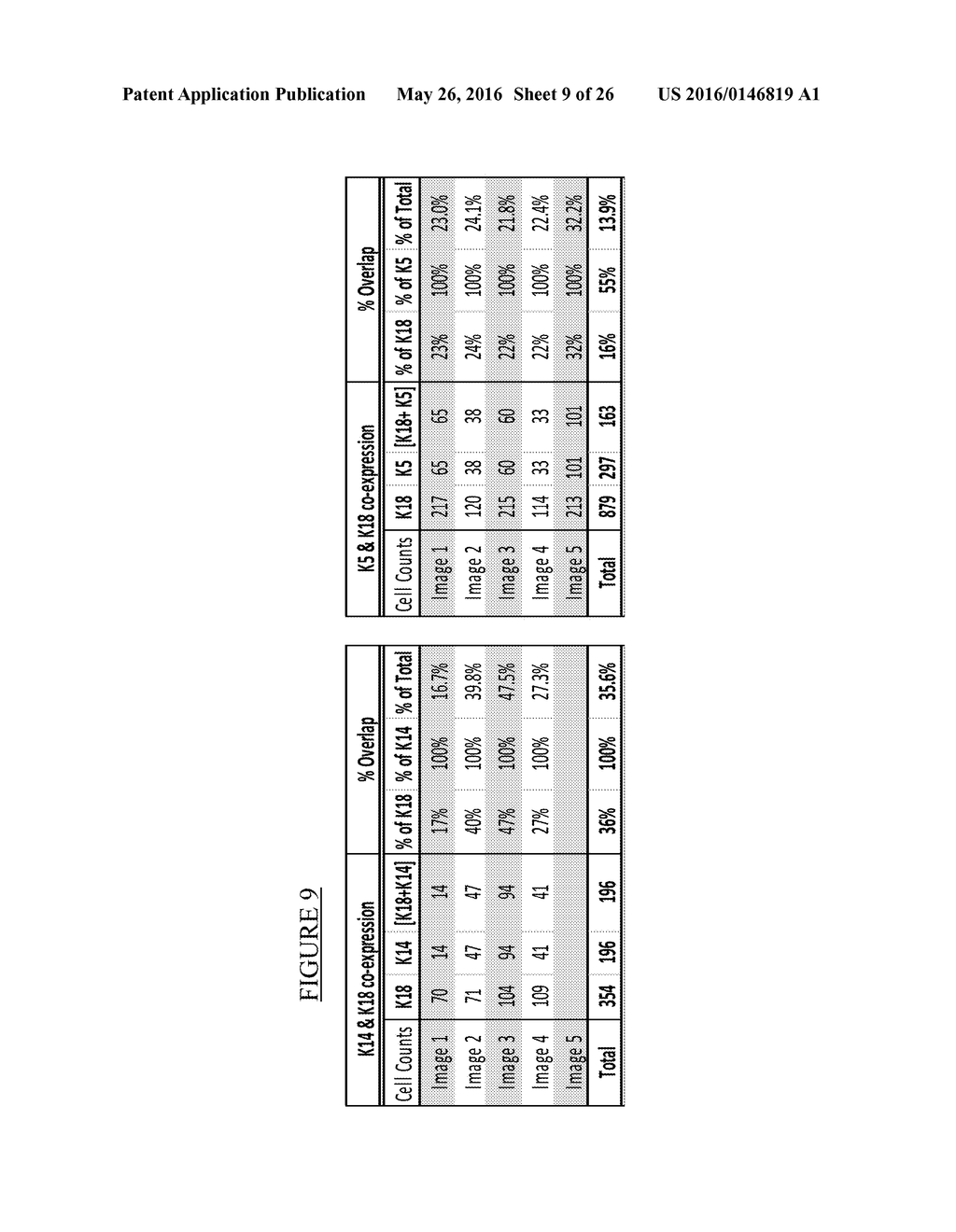 CLASSIFICATION SYSTEM, METHODS AND KIT FOR CLASSIFYING, PREDICTING AND     TREATING BREAST CANCER - diagram, schematic, and image 10