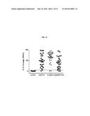 Detection of Acute Myeloid Leukaemia (AML) Leukaemic Stem Cells (LSC) diagram and image