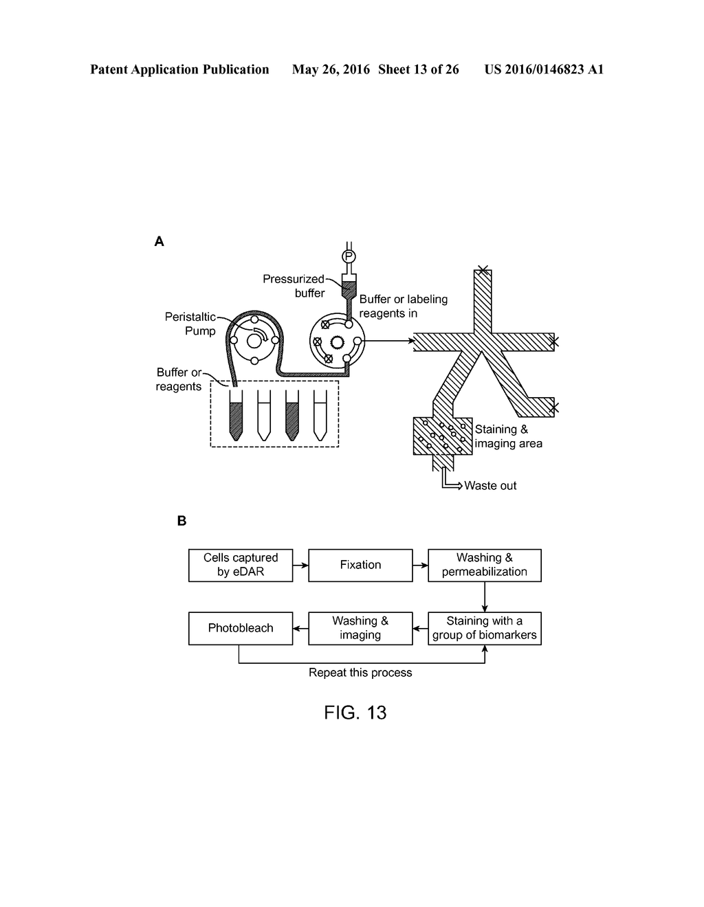 METHODS, COMPOSITIONS AND SYSTEMS FOR MICROFLUIDIC ASSAYS - diagram, schematic, and image 14