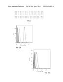 METHODS FOR DETECTING ANTIBODIES diagram and image