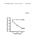 USE OF ALPHA-CRYSTALLIN B (CRYAB) IN THE ASSESSMENT OF HEART FAILURE diagram and image