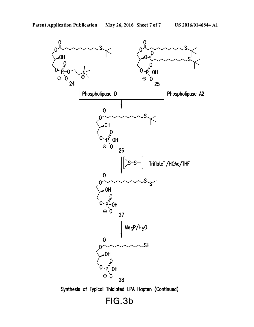 COMPOSITIONS AND METHODS FOR BINDING LYSOPHOSPHATIDIC ACID - diagram, schematic, and image 08