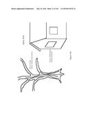 SEE-THROUGH COMPUTER DISPLAY SYSTEMS diagram and image