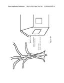 SEE-THROUGH COMPUTER DISPLAY SYSTEMS diagram and image