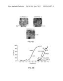 SYSTEMS AND METHODS FOR MACHINE LEARNING ENHANCED BY HUMAN MEASUREMENTS diagram and image