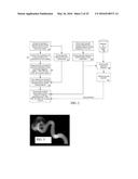 SYNTHETIC DATA-DRIVEN HEMODYNAMIC DETERMINATION IN MEDICAL IMAGING diagram and image