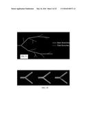 SYNTHETIC DATA-DRIVEN HEMODYNAMIC DETERMINATION IN MEDICAL IMAGING diagram and image