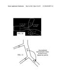 SYNTHETIC DATA-DRIVEN HEMODYNAMIC DETERMINATION IN MEDICAL IMAGING diagram and image