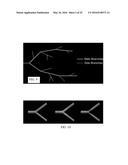 SYNTHETIC DATA-DRIVEN HEMODYNAMIC DETERMINATION IN MEDICAL IMAGING diagram and image