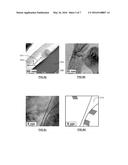 POLYCRYSTALLINE SEMICONDUCTOR NANOSTRUCTURED MATERIAL diagram and image