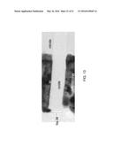 RUTHENIUM NUCLEATION LAYER FOR CONTROL GATE ELECTRODES IN A MEMORY     STRUCTURE diagram and image