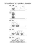 SEMICONDUCTOR DEVICE AND MEMORY DEVICE diagram and image