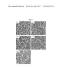 PIEZOELECTRIC CERAMIC COMPOSITION, PIEZOELECTRIC ELEMENT, AND METHOD FOR     THE SAME diagram and image