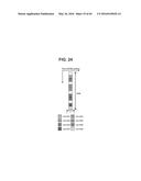 METHOD AND APPARATUS FOR TRANSMITTING REFERENCE SIGNAL IN MULTI-ANTENNA     SYSTEM diagram and image