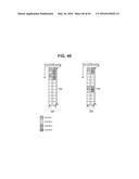 METHOD AND APPARATUS FOR TRANSMITTING REFERENCE SIGNAL IN MULTI-ANTENNA     SYSTEM diagram and image