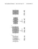 OPTICAL APPARATUS AND IMAGE PROJECTION APPARATUS diagram and image