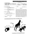 Pet Leash System diagram and image