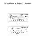 WATER PURIFICATION COMPOSITIONS AND APPLICATIONS FOR SAME diagram and image