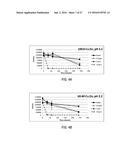 WATER PURIFICATION COMPOSITIONS AND APPLICATIONS FOR SAME diagram and image