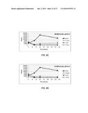 WATER PURIFICATION COMPOSITIONS AND APPLICATIONS FOR SAME diagram and image