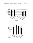 WATER PURIFICATION COMPOSITIONS AND APPLICATIONS FOR SAME diagram and image