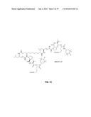 COMPOUNDS FOR THE TREATMENT OF PATHOLOGIES ASSOCIATED WITH AGING AND     DEGENERATIVE DISORDERS diagram and image