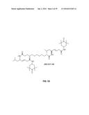 COMPOUNDS FOR THE TREATMENT OF PATHOLOGIES ASSOCIATED WITH AGING AND     DEGENERATIVE DISORDERS diagram and image