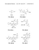 COMPOUNDS FOR THE TREATMENT OF PATHOLOGIES ASSOCIATED WITH AGING AND     DEGENERATIVE DISORDERS diagram and image