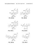 COMPOUNDS FOR THE TREATMENT OF PATHOLOGIES ASSOCIATED WITH AGING AND     DEGENERATIVE DISORDERS diagram and image