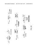 COMPOUNDS FOR THE TREATMENT OF PATHOLOGIES ASSOCIATED WITH AGING AND     DEGENERATIVE DISORDERS diagram and image