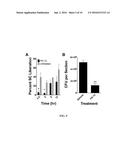 METHODS AND COMPOSITIONS TO PREVENT OR TREAT BACTERIAL INFECTIONS diagram and image