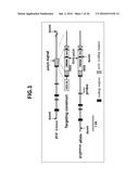 COMPOSITION FOR INDUCING PROLIFERATION OR ACCUMULATION OF REGULATORY T     CELLS diagram and image