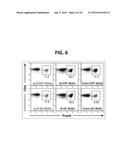 COMPOSITION FOR INDUCING PROLIFERATION OR ACCUMULATION OF REGULATORY T     CELLS diagram and image