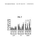 COMPOSITION FOR INDUCING PROLIFERATION OR ACCUMULATION OF REGULATORY T     CELLS diagram and image