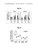 COMPOSITION FOR INDUCING PROLIFERATION OR ACCUMULATION OF REGULATORY T     CELLS diagram and image