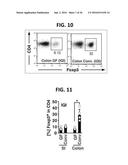 COMPOSITION FOR INDUCING PROLIFERATION OR ACCUMULATION OF REGULATORY T     CELLS diagram and image