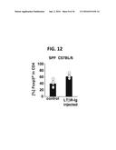 COMPOSITION FOR INDUCING PROLIFERATION OR ACCUMULATION OF REGULATORY T     CELLS diagram and image