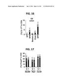 COMPOSITION FOR INDUCING PROLIFERATION OR ACCUMULATION OF REGULATORY T     CELLS diagram and image