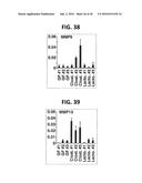 COMPOSITION FOR INDUCING PROLIFERATION OR ACCUMULATION OF REGULATORY T     CELLS diagram and image