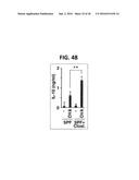 COMPOSITION FOR INDUCING PROLIFERATION OR ACCUMULATION OF REGULATORY T     CELLS diagram and image