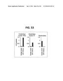 COMPOSITION FOR INDUCING PROLIFERATION OR ACCUMULATION OF REGULATORY T     CELLS diagram and image