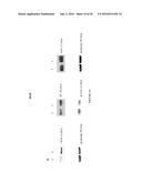 Compositions and Methods for Treating Neuropsychiatric Disorders Using an     Endothelin-B Receptor Agonist diagram and image