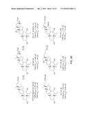 CD40 Signalling Inhibitor and a Further Compound, Wherein the Further     Compound is a Bile Acid, a Bile Acid Derivative, an TGR5-Receptor     Agonist, an FXR Agonist or a Combination Thereof, for the Treatment of     Chronic Inflammation, and the Prevention of Gastrointestinal Cancer or     Fibrosis diagram and image